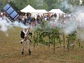 The British are coming! The British are coming! And they are knocking down all our trees!